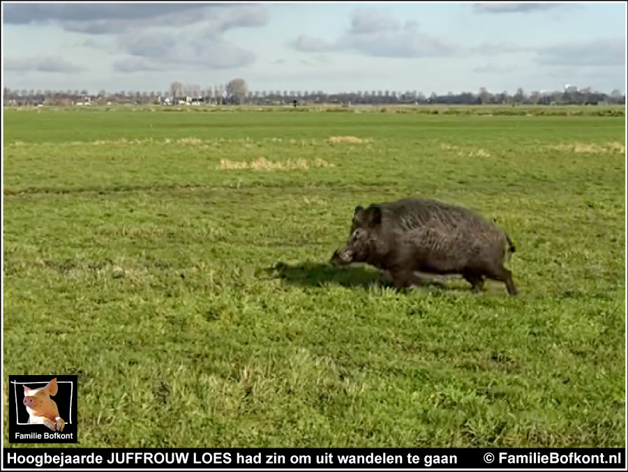 Hoogbejaarde JUFFROUW LOES had zin om uit wandelen te gaan