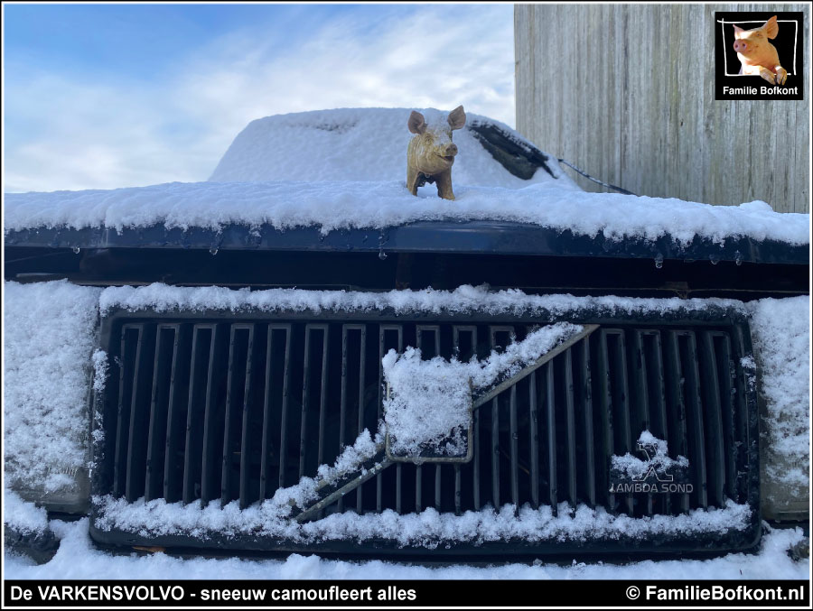 De VARKENSVOLVO - sneeuw camoufleert alles