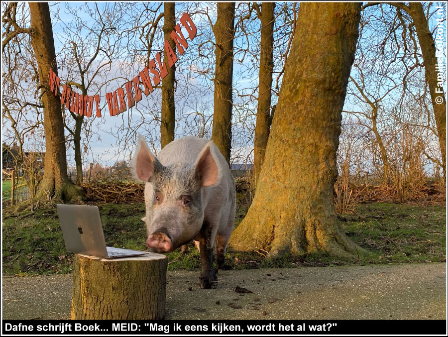 Dafne schrijft Boek... MEID: Mag ik eens kijken, wordt het al wat?