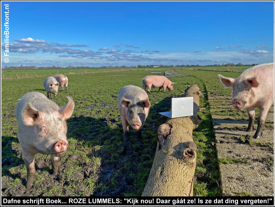 Dafne schrijft Boek. ROZE LUMMELS: Kijk nou! Daar gáát ze! Is ze dat ding vergeten!