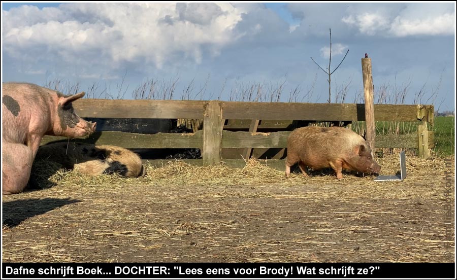 Dafne schrijft Boek... DOCHTER: Lees eens voor Brody! Wat schríjft ze?