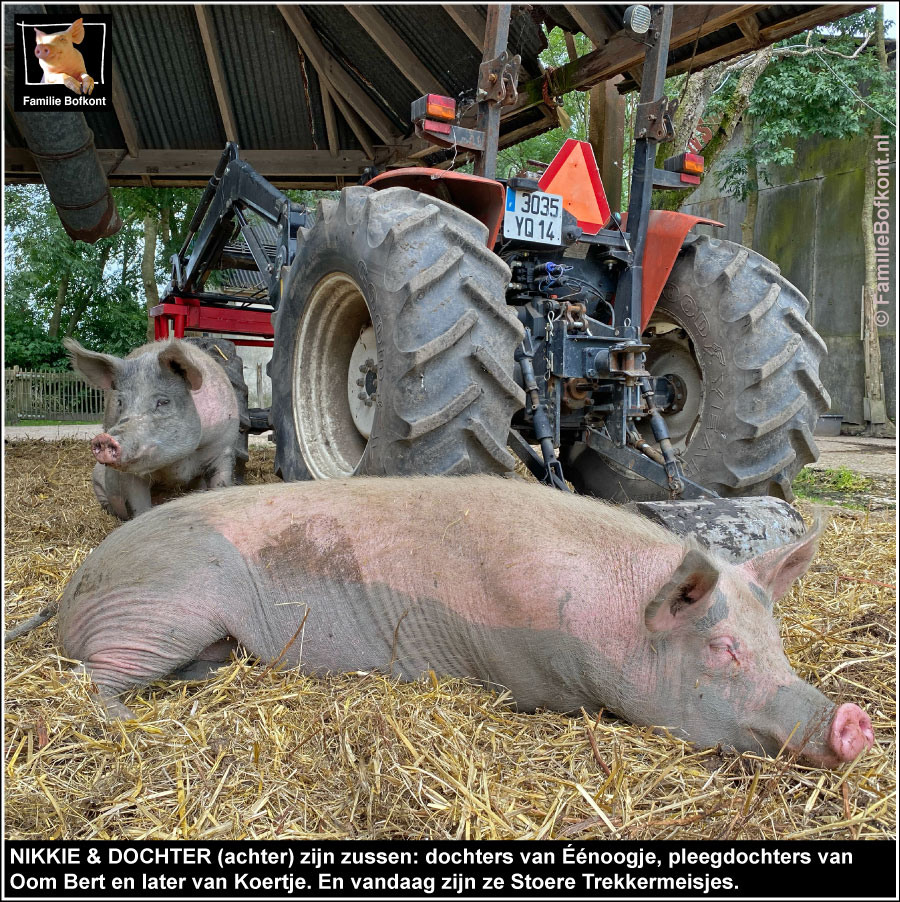 NIKKIE & DOCHTER (achter) zijn zussen: dochters van Éénoogje, pleegdochters van Oom Bert en later van Koertje. En vandaag zijn ze Stoere Trekkermeisjes.