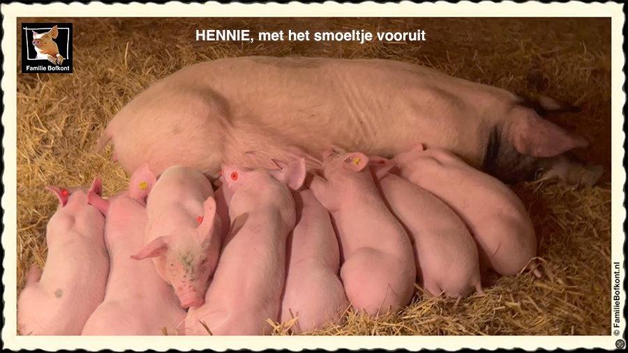 HENNIE, met het smoeltje vooruit