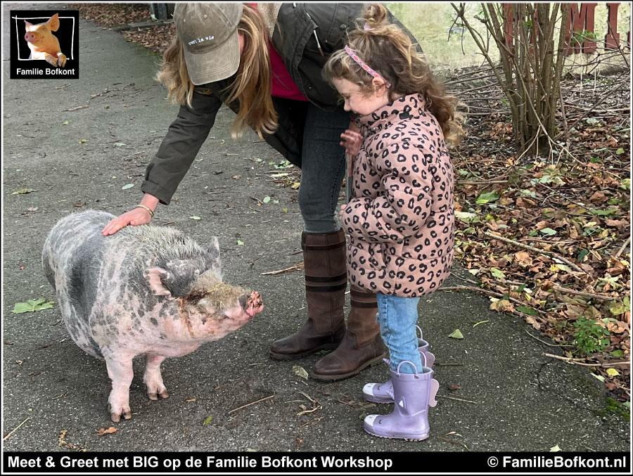 Meet & Greet met BIG op de Familie Bofkont Workshop