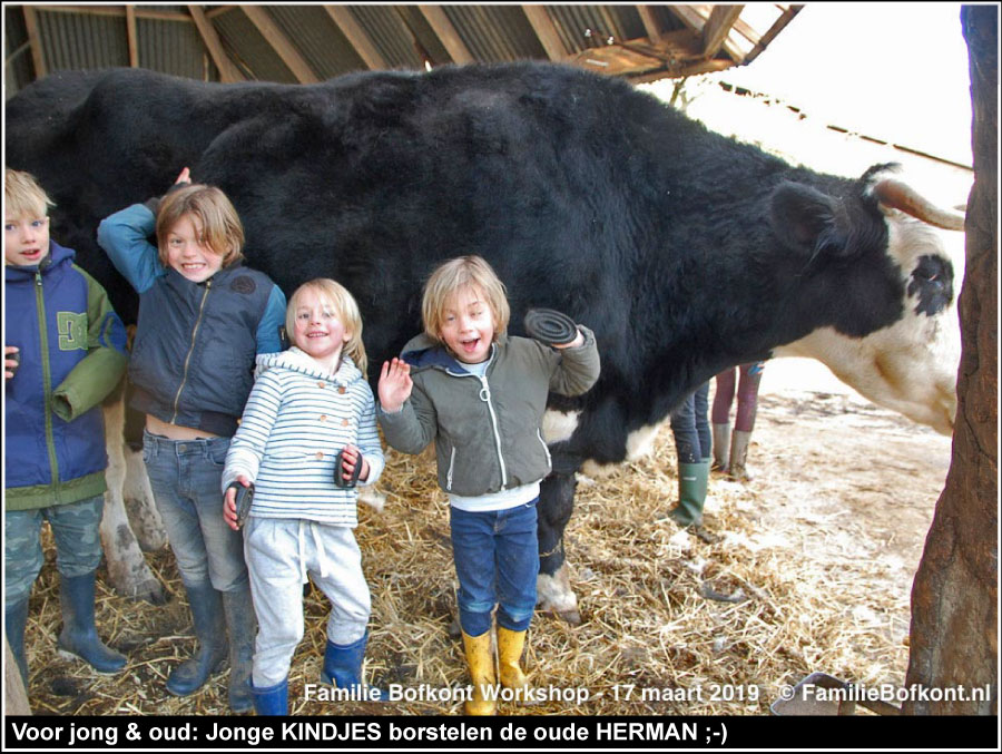 De Familie Bofkont Workshop voor jong & oud: KINDJES jong & HERMAN oud ;-)