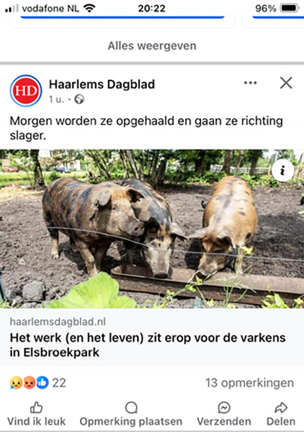 https://2024.bfknt.nl/20241030-screenshot-varkens-elsbroekpark-hillegom.jpg