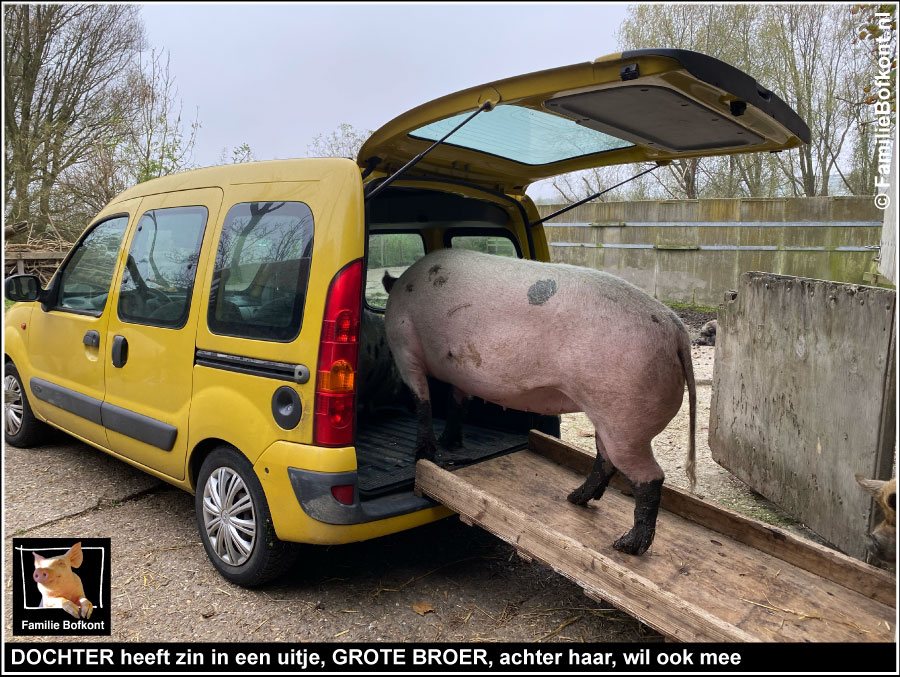 DOCHTER heeft zin in een uitje, GROTE BROER, achter haar, wil ook mee