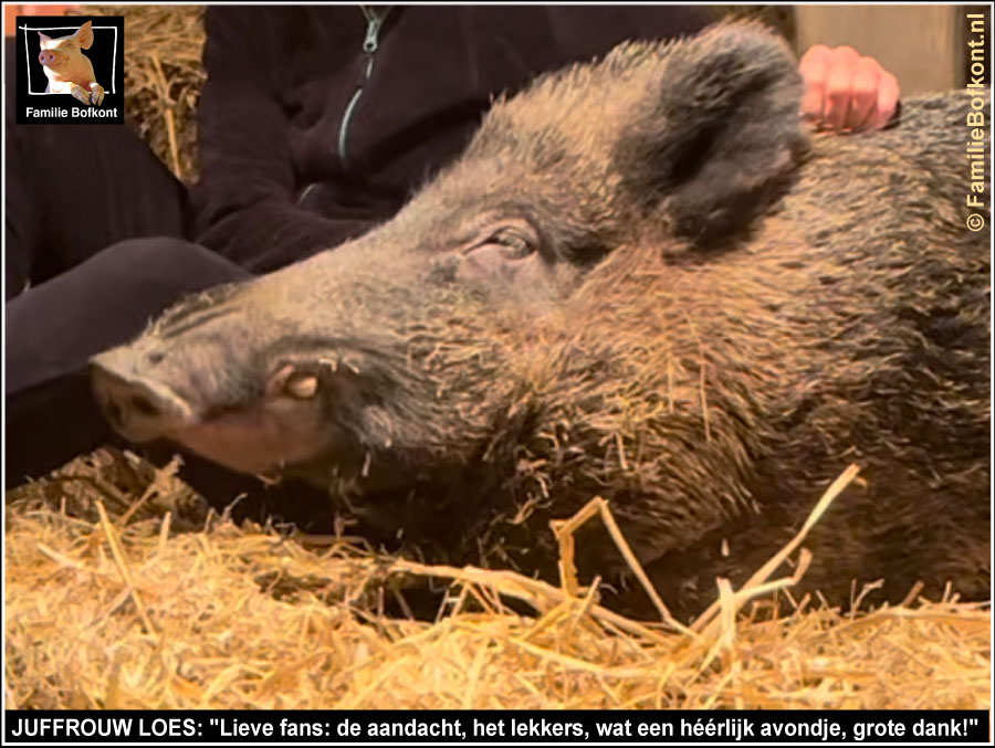 JUFFROUW LOES: Lieve fans: de aandacht, het lekkers, wat een heerlijk avondje, grote dank!